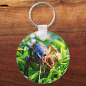 Crawfish Crawdds Crayfish Schlüsselanhänger (Vorderseite)