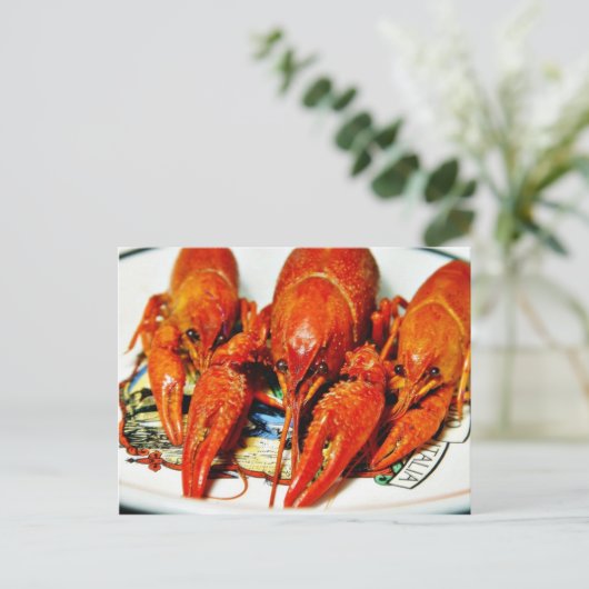 Crawfish Crawdds Craytfish Postkarte (Stehend Vorderseite)