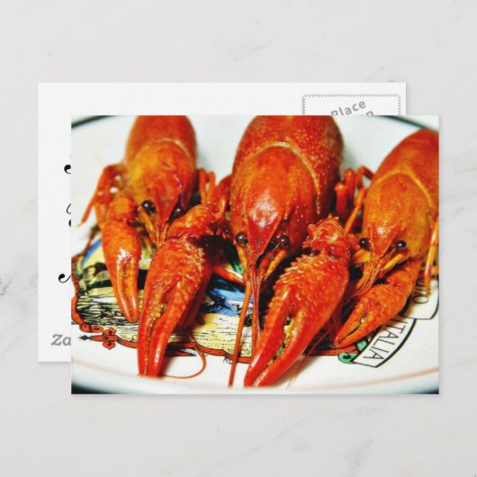 Crawfish Crawdds Craytfish Postkarte (Vorne/Hinten)