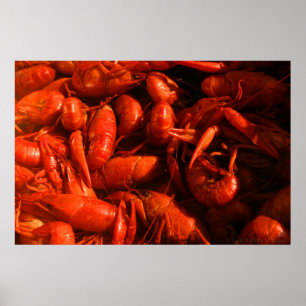 Crawfish-Druck Poster