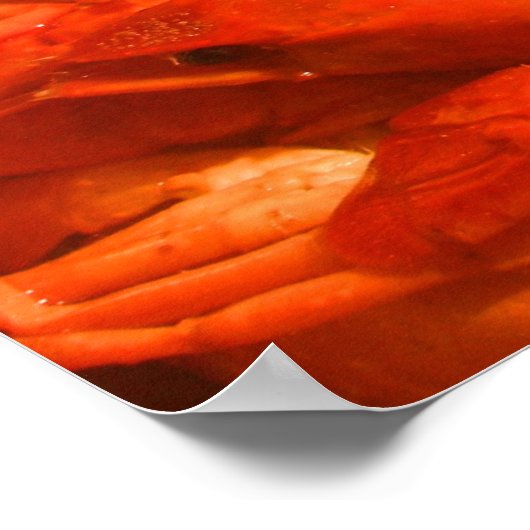 Crawfish-Druck Poster (Ecke)