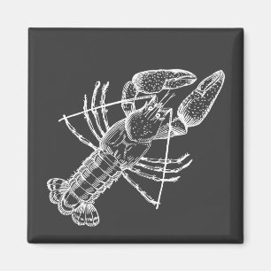 Crawfish Illustration weiß auf schwarz Magnet