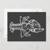 Crawfish Illustration weiß auf schwarz Postkarte (Vorne/Hinten)