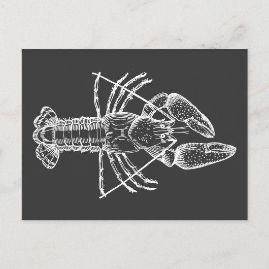 Crawfish Illustration weiß auf schwarz Postkarte (Vorderseite)