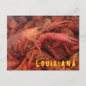 Crawfish Postkarte (Vorderseite)