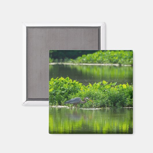 Crawfish-Zeit Magnet (Vorderseite/Rückseite)