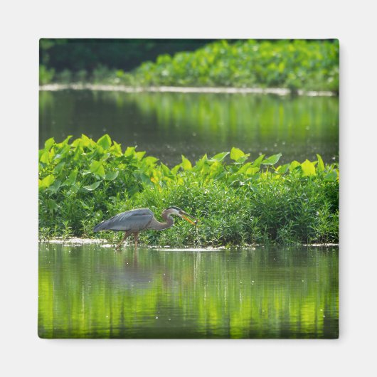 Crawfish-Zeit Magnet (Vorne)