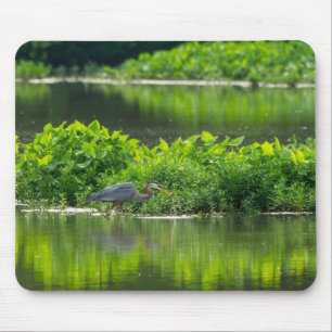 Crawfish-Zeit Mousepad