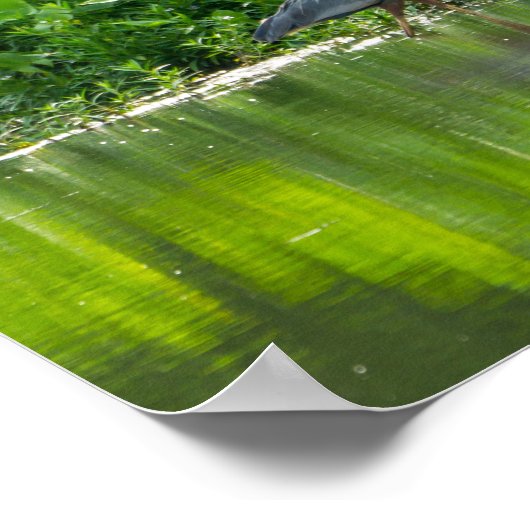 Crawfish-Zeit Poster (Ecke)