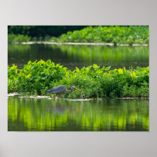 Crawfish-Zeit Poster