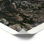 Crawford Notch View of the Double Gate Poster (Ecke)