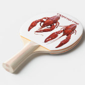 Crawler Time Tischtennis Schläger (Vorderseite)