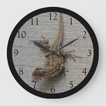 Crawling Lizard Black Edge Large Clock