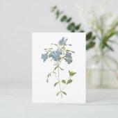 Crawling phlox(Phlox reptans) von Redouté Postkarte (Stehend Vorderseite)