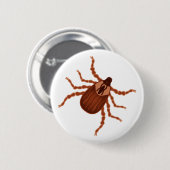 Crawly Realistic Tick Illustration Button (Vorne & Hinten)