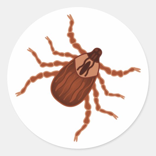 Crawly Realistic Tick Illustration Runder Aufkleber (Vorderseite)
