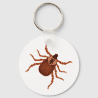 Crawly Realistic Tick Illustration