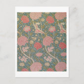 "Cray", 1884 Postkarte (Vorderseite)