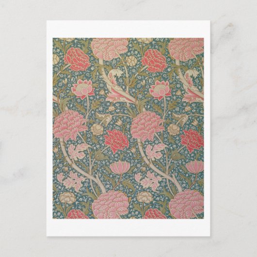 "Cray", 1884 Postkarte (Vorderseite)