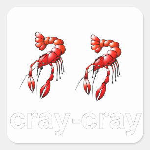 Cray Cray Quadratischer Aufkleber