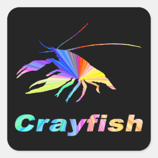 Crayfish-24 Quadratischer Aufkleber