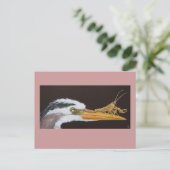 Crayfish lernt Postkarte zu überspringen (Stehend Vorderseite)