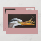 Crayfish lernt Postkarte zu überspringen (Vorne/Hinten)