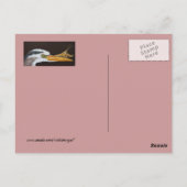 Crayfish lernt Postkarte zu überspringen (Rückseite)