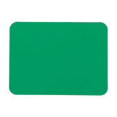 Crayon Color Green Flexible Foto Magnet (Horizontal)