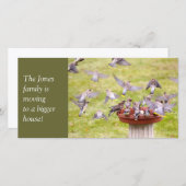 Crazed Flock von Zedar Waxwings Ankündigung (Vorne/Hinten)