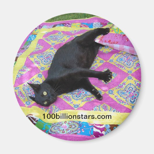 Crazed Quilt Cat Magnet (Vorne)