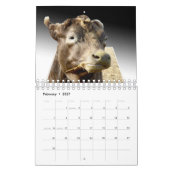 Crazy Artworks That Pop, Kalender (Feb 2027)