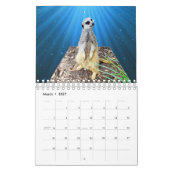 Crazy Artworks That Pop, Kalender (Mär 2027)