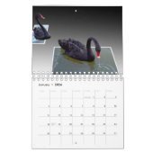 Crazy Artworks That Pop, Kalender (Jan 2026)