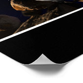 Crazy Assed Pilot Poster (Ecke)