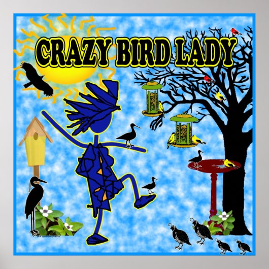 Crazy Bird Lady Design Poster (Vorne)