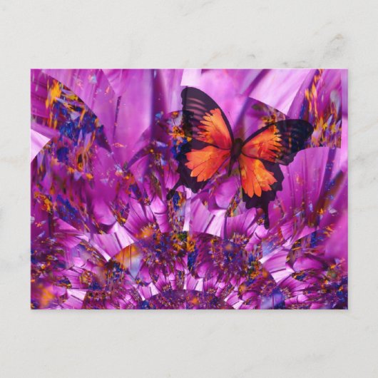 Crazy Butterfly Postkarte (Vorderseite)