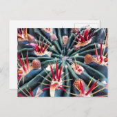 Crazy Cactus Postcard Postkarte (Vorne/Hinten)