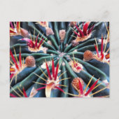 Crazy Cactus Postcard Postkarte (Vorderseite)
