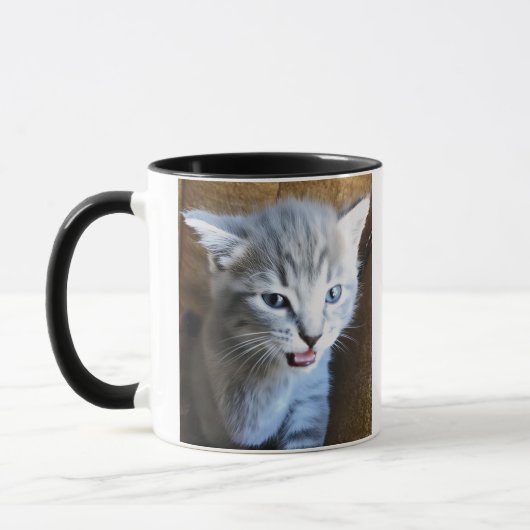 Crazy Cat Dude. Cat Humor. Cat Coffee Mug. Tasse (Links)