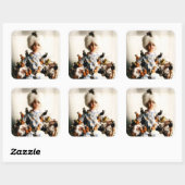 Crazy Cat Lady Aufkleber (Blatt)