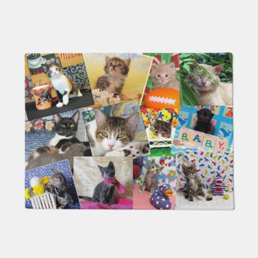 Crazy Cat Lady Doormat (18 X 24) Fußmatte (Vorderseite)
