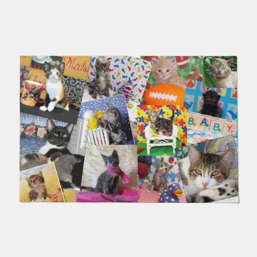 Crazy Cat Lady Doormat (24 x 36) Fußmatte (Vorderseite)