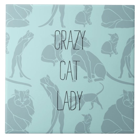 Crazy Cat Lady Fliese (Vorderseite)