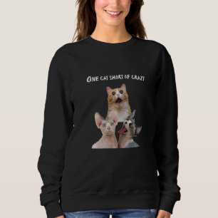 Crazy Cat Lady Man T-Shirts eine Katze Kurz verrüc