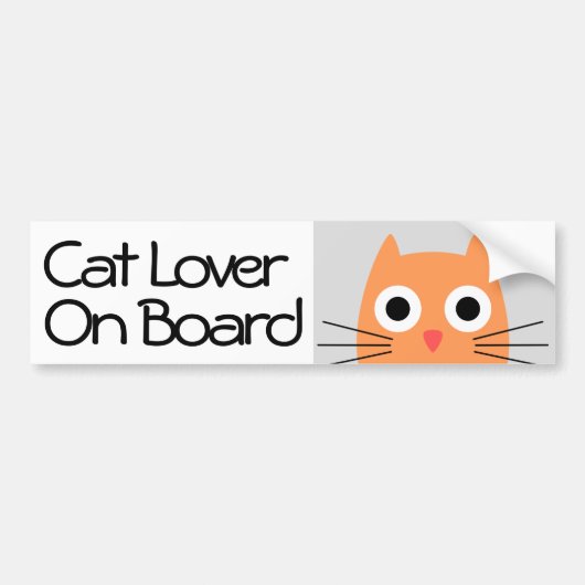 Crazy Cat Lover an Bord Autoaufkleber (Vorne)