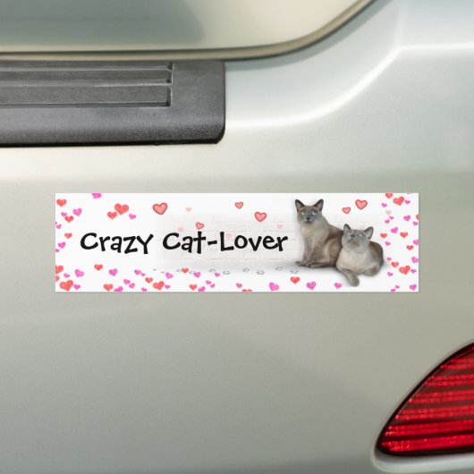 Crazy Cat-Lover Autoaufkleber (Auf Auto)