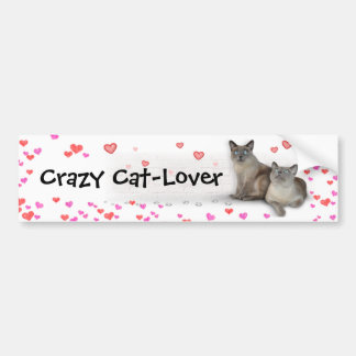 Crazy Cat-Lover Autoaufkleber