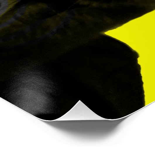 Crazy Cat Poster (Ecke)