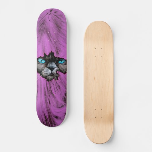 Crazy Cat Skateboard (Vorderseite)